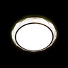 Миниатюра фото потолочный светодиодный светильник ambrella light orbital fly simple f401 wh 6w d200 | 220svet.ru