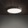 Миниатюра фото потолочный светодиодный светильник imperium loft range 195543-26 | 220svet.ru