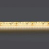 Миниатюра фото светодиодная влагозащищенная лента дневной белый lightstar 14w/m 180led/m 5m 421054 | 220svet.ru