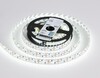 Миниатюра фото светодиодная лента холодный белый ambrella light 24w/m 240led/m 2835smd 6500к 5m gs1703 | 220svet.ru