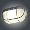 Миниатюра фото потолочный светильник элетех банник 1005500933 ip65 | 220svet.ru