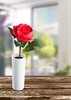 Миниатюра фото настольная лампа декоративная роза с большим бутоном globo orphelia 28021 | 220svet.ru