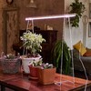 Миниатюра фото настенный светодиодный светильник для растений uniel uli-p33-24w/splx ip40 white ul-00010526 | 220svet.ru