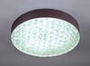 Миниатюра фото потолочный светодиодный светильник escada 10246/1led | 220svet.ru