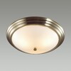 Миниатюра фото настенно-потолочный lumion kayla 5262/3с | 220svet.ru