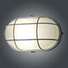 Миниатюра фото потолочный светильник элетех банник 1005500933 ip65 | 220svet.ru