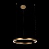 Миниатюра фото подвесной светодиодный светильник loft it ring 10013l | 220svet.ru