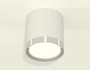 Миниатюра фото комплект накладного светильника ambrella light (c8141, n8118) xs8141003 | 220svet.ru