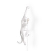 Миниатюра фото настенный светильник monkey lamp hanging left | 220svet.ru