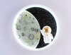 Миниатюра фото настенный светодиодный светильник ambrella light wallers fw11101 | 220svet.ru