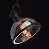 Миниатюра фото подвесной светильник mw-light нойвид 4 682012001 | 220svet.ru