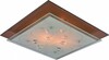 Миниатюра фото потолочный светильник arte lamp a4042pl-2cc | 220svet.ru