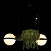 Миниатюра фото подвесной светодиодный светильник loft it jardin 10121/2 | 220svet.ru