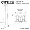 Миниатюра фото подвесной светильник citilux skyport.10 cl51712_kord | 220svet.ru