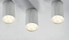 Миниатюра фото потолочный светодиодный светильник paulmann barrel 92547 | 220svet.ru