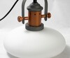 Миниатюра фото подвесной светильник lussole loft grlsp-9845 | 220svet.ru