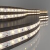 Миниатюра фото светодиодная влагозащищенная лента elektrostandard 4,8w/m 60led/m 2835smd теплый белый 5m a041000 | 220svet.ru