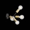 Миниатюра фото бра st luce foglione sl437.401.04 | 220svet.ru