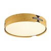 Миниатюра фото потолочный светодиодный светильник sonex coraggio 7721/65l коричневый | 220svet.ru