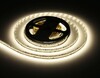 Миниатюра фото светодиодная лента дневной белый ambrella light 17w/m 240led/m 2835smd 4500к 5m gs1402 | 220svet.ru