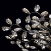 Миниатюра фото потолочная люстра mw-light адриатика 280011008 | 220svet.ru