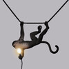 Миниатюра фото подвесной светильник the monkey lamp swing black seletti | 220svet.ru