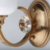 Миниатюра фото бра mw-light палермо 386027801 | 220svet.ru