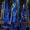 Миниатюра фото гирлянда на деревья, луч 2, 2х25м., 50м., 500 led, 220/24b., холодный белый, с мерцанием синий, черный пвх провод. 05-1911 | 220svet.ru