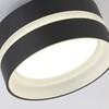 Миниатюра фото потолочный светильник ambrella light tn5421 | 220svet.ru