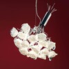 Миниатюра фото подвесной светильник citilux rosa bianco el325p04.1 | 220svet.ru