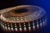 Миниатюра фото влагозащищенная лента designled 28,8w/m 120led/m 5050smd разноцветный/нейтральный белый 5m 001205 | 220svet.ru