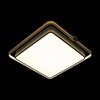 Миниатюра фото потолочный светодиодный светильник loft it mike 10172 | 220svet.ru