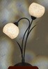 Миниатюра фото настольная лампа lussole bagheria lsf-6294-02 | 220svet.ru