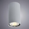 Миниатюра фото потолочный светильник arte lamp a1516pl-1gy | 220svet.ru