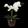 Миниатюра фото настольная лампа globo flowerpower 28002 | 220svet.ru