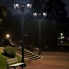 Миниатюра фото садово-парковый светильник reluce 08301-0.7-001sj 2,2m bk | 220svet.ru