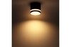 Миниатюра фото накладной потолочный светильник ritter arton 59943 2 | 220svet.ru