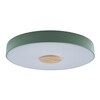 Миниатюра фото потолочный светодиодный светильник loft it axel 10003/24 green | 220svet.ru