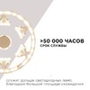 Миниатюра фото светодиодный модуль apeyron со встроенным драйвером 02-72 | 220svet.ru
