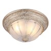Миниатюра фото потолочный светильник arte lamp piatti a8014pl-2wa | 220svet.ru