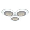 Миниатюра фото потолочный светодиодный светильник imex plc-8003-490 | 220svet.ru