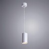 Миниатюра фото подвесной светильник arte lamp canopus a1516sp-1gy | 220svet.ru