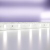 Миниатюра фото светодиодная влагозащищенная лента maytoni technical 7,2w/m холодный белый 5m 20018 | 220svet.ru
