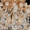 Миниатюра фото потолочная люстра chiaro луиза 383010210 | 220svet.ru