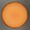 Миниатюра фото потолочный светодиодный светильник с пультом ду citilux enzo cl753452g rgb | 220svet.ru