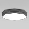 Миниатюра фото потолочный светильник tk lighting 4223 graphite | 220svet.ru