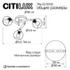 Миниатюра фото потолочная люстра на штанге citilux tika cl133130 | 220svet.ru