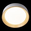 Миниатюра фото потолочный светодиодный светильник loft it coin 10202 white | 220svet.ru