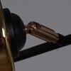 Миниатюра фото потолочная люстра reluce 11555-0.3-06 bk+fgd | 220svet.ru