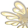 Миниатюра фото потолочная светодиодная люстра wedo light ианта 75222.01.09.08 | 220svet.ru
